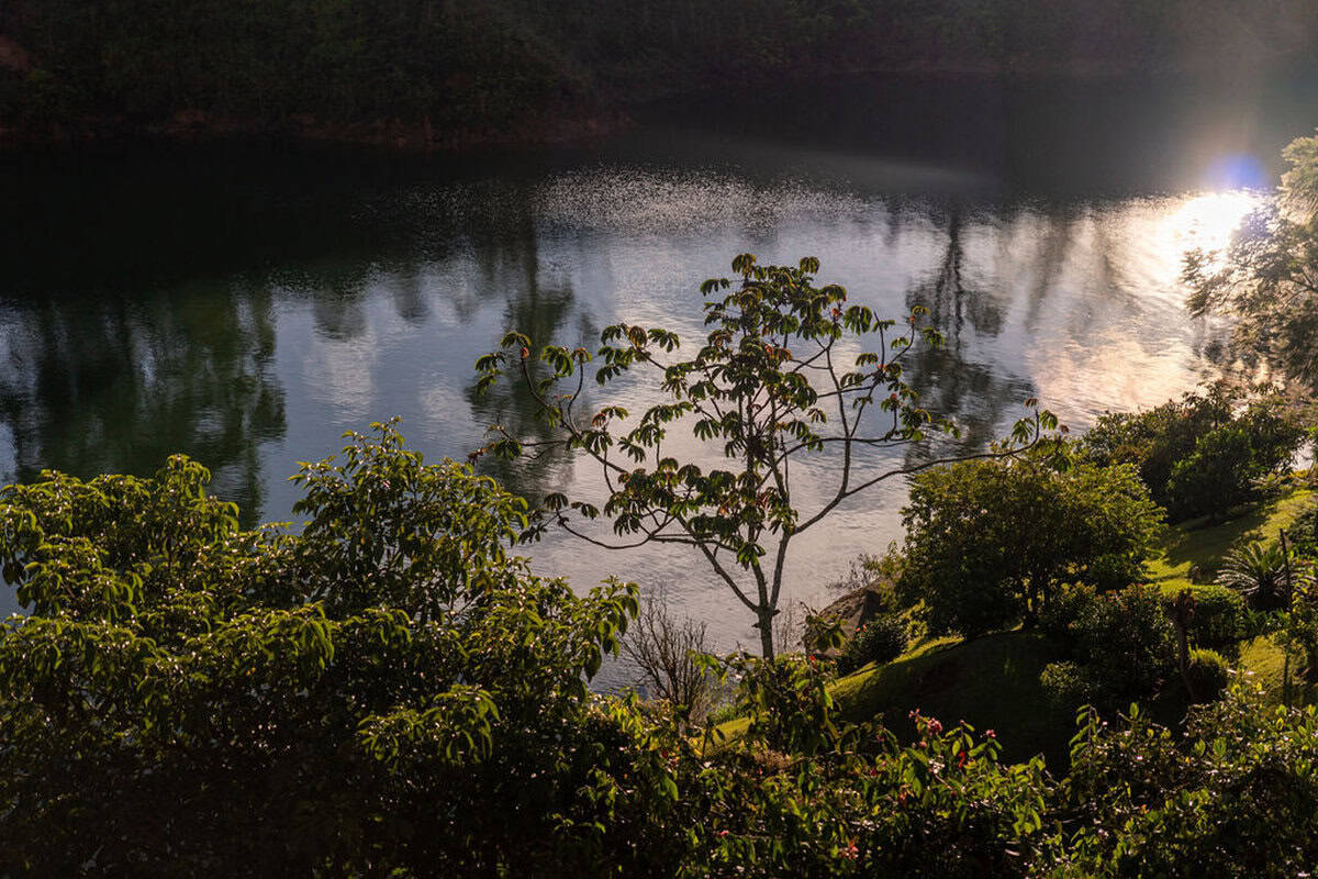Lush greenery alongside a tranquil river at Finca Conejo Blanco, offering scenic natural beauty and peaceful surroundings.