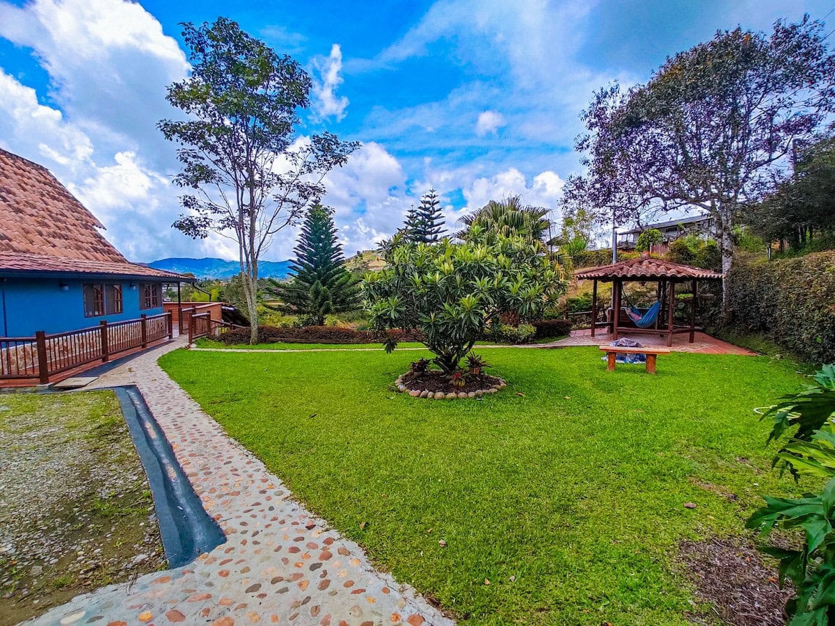 Lush green garden with mountain backdrop